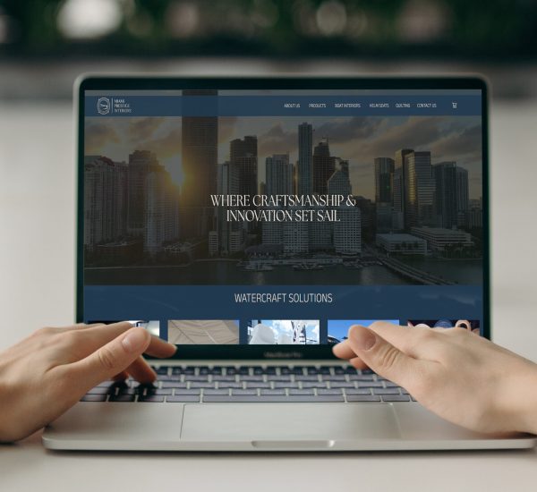 MPI web mockup