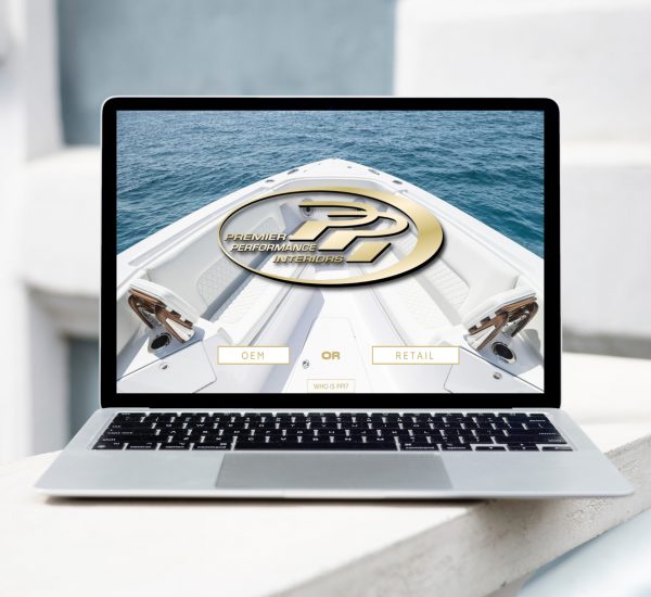 PPI web mockup